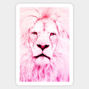 Lion Pink Sticker